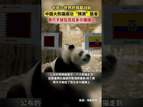 爱游戏,资讯,互动娱乐,爱游戏,互动娱乐,游戏攻略,手机游戏,网络游戏,游戏评测,电子竞技,游戏社区,游戏资讯,热门游戏
